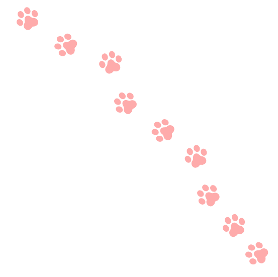 poezenpootjes tab4 poezenpootjes tab4