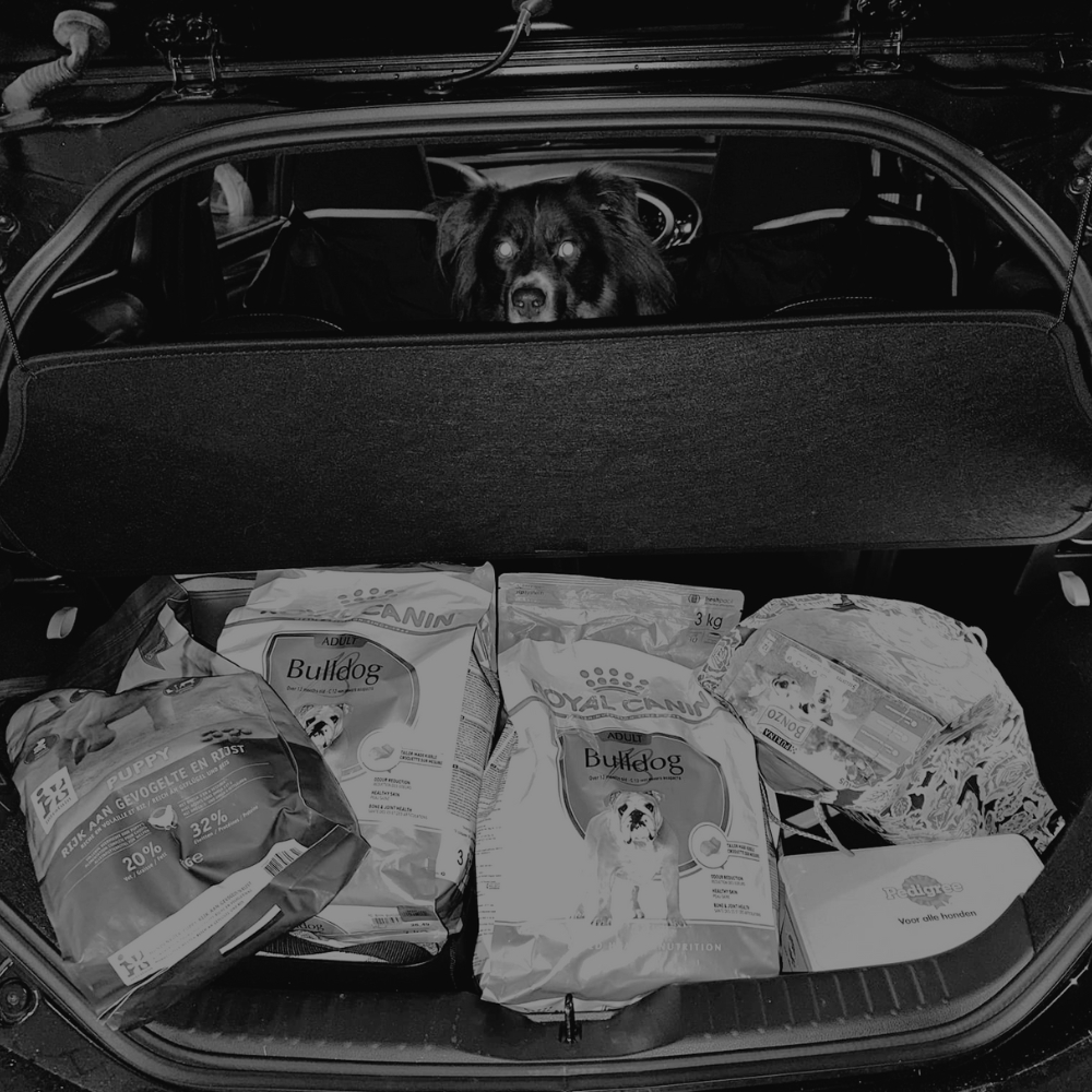 doneer (5) doneer (5)